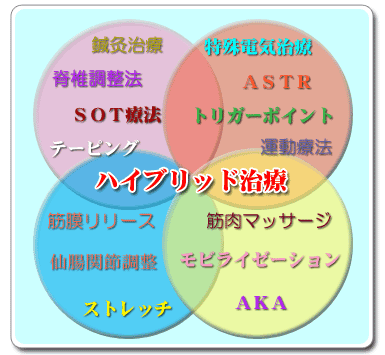 �n�C�u���b�h����