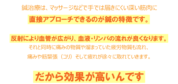 ���t�E�����p�̗��ꂪ�ǂ��Ȃ�܂��B